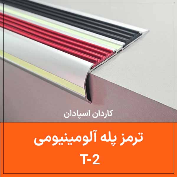 T 2