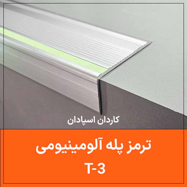 T 3