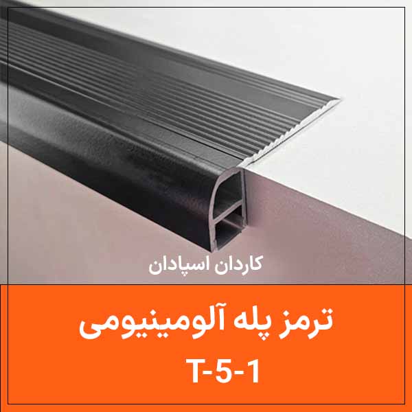 T 5 1