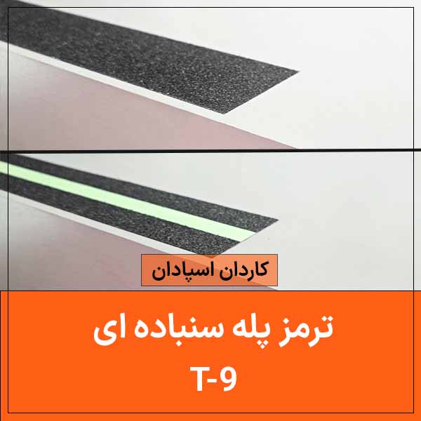 T 9